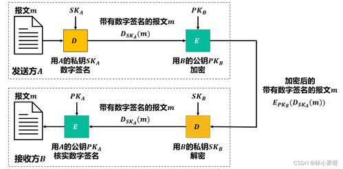計算機(jī)網(wǎng)絡(luò)之網(wǎng)絡(luò)安全 守護(hù)數(shù)字世界的無形防線